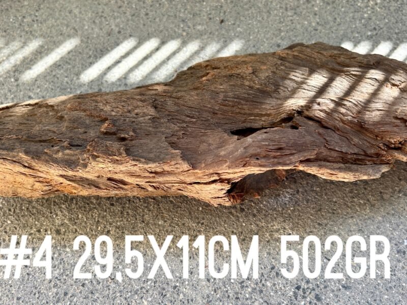 1 grande racine au choix pour crevettes aquascaping poissons aquarium