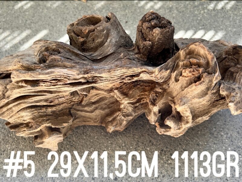 1 grande racine #5 29x11,5cm 1113gr pour crevettes aquascaping poissons aquarium