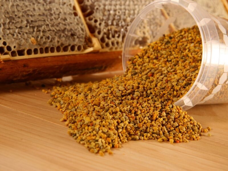 50gr de Pollen de fleurs Bio nourriture pour crevettes aquascaping poissons aquarium