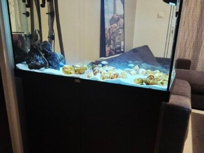 Aquarium Juwel + Filtre Oase Biomaster Thermo 250