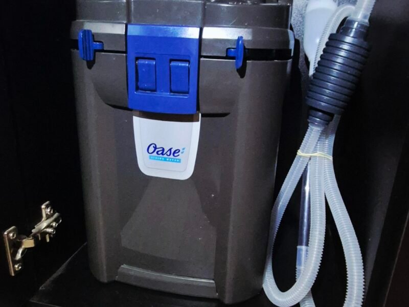 Aquarium Juwel + Filtre Oase Biomaster Thermo 250