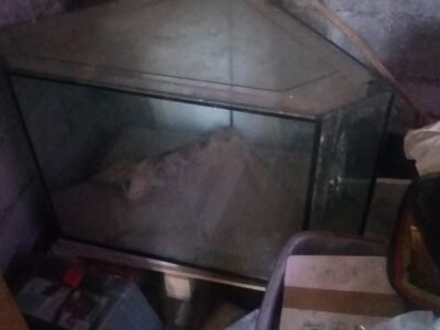 plusieurs aquariums