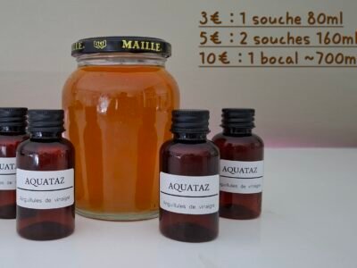 Anguillules de vinaigre