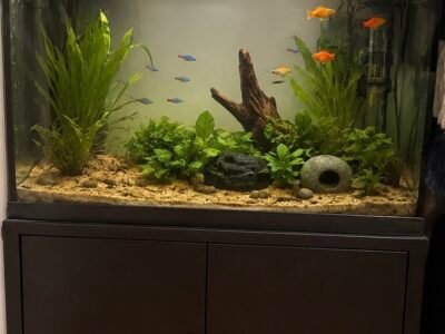 Aquarium 90 litres
