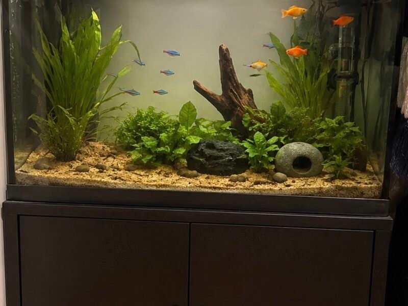 Aquarium 90 litres