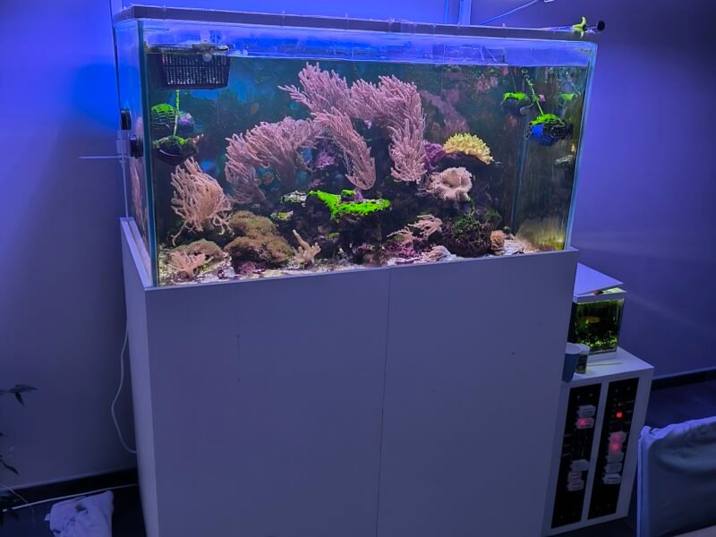 Aquarium 500 litre