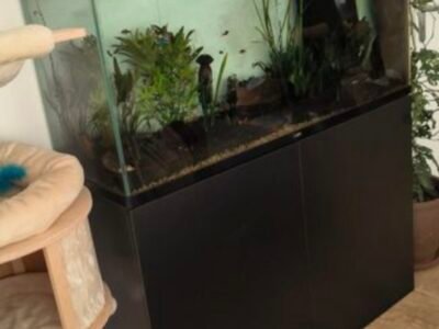 Aquarium CIANO Emotions Pro 120 - noir - Cuve + Meuble - 239 Litres