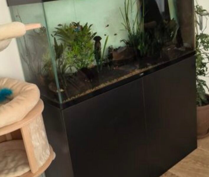 Aquarium CIANO Emotions Pro 120 - noir - Cuve + Meuble - 239 Litres