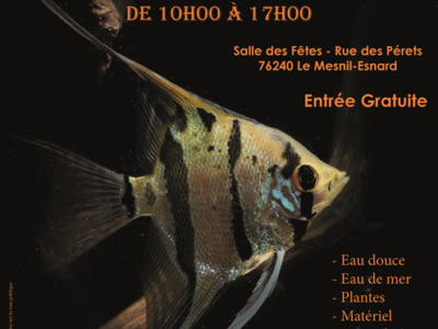 Bourse Aqua Terra de l'Association Aquariophile de Rouen