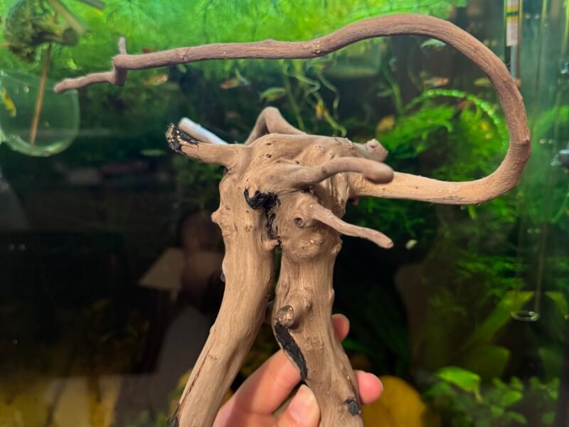 Spiderman wood