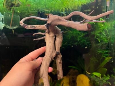 Spiderman wood