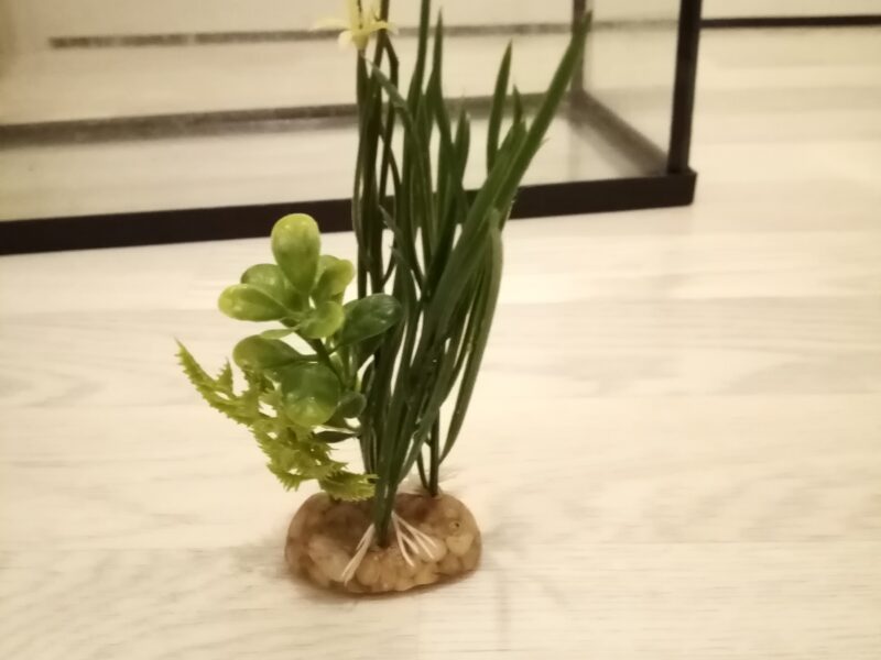 Plante plastique et gravier