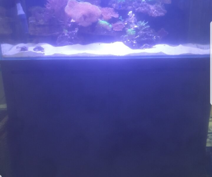 aquarium 350l