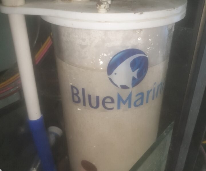 aquarium 350l