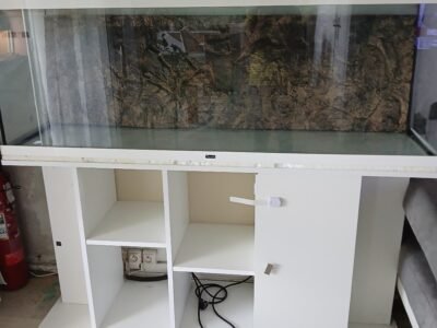 Aquarium