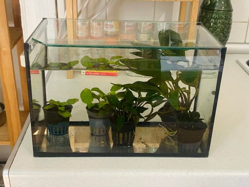 Aquarium 10L / 60L / 120L et Meuble pour 120L (achat seul ou en lot) Prix du lot : 150€