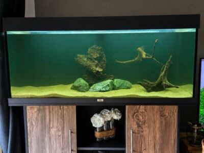 Aquarium Juwel Rio 240L