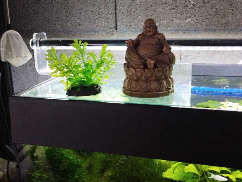 Déco aquarium