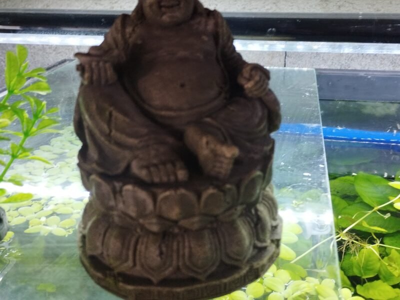 Déco aquarium