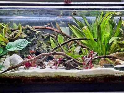 Aquarium 120 L