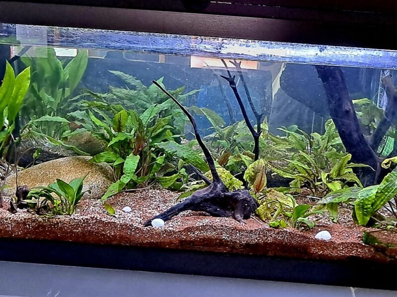 Aquarium 120 L