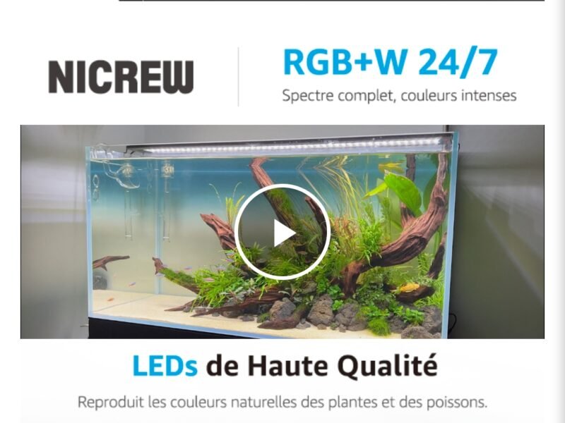 Aquarium 120 L