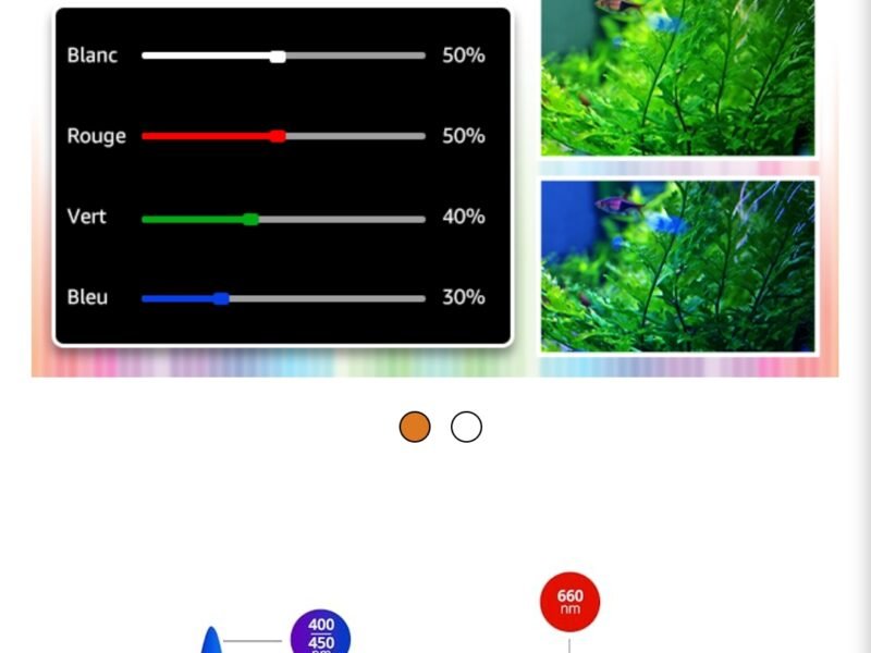 Aquarium 120 L